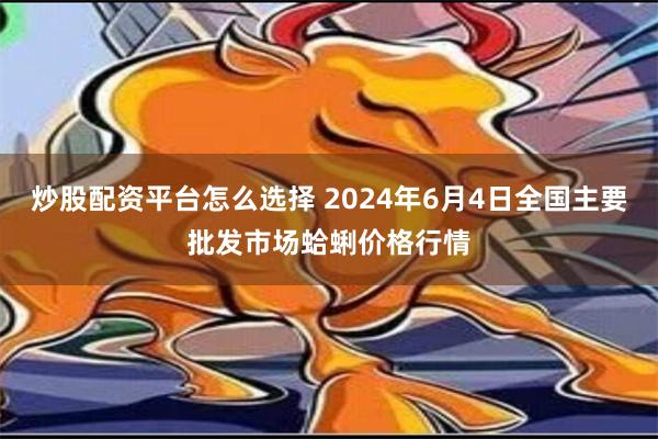 炒股配资平台怎么选择 2024年6月4日全国主要批发市场蛤蜊价格行情