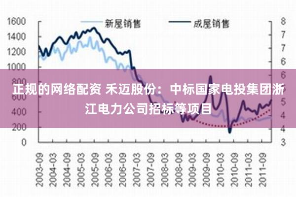 正规的网络配资 禾迈股份：中标国家电投集团浙江电力公司招标等项目