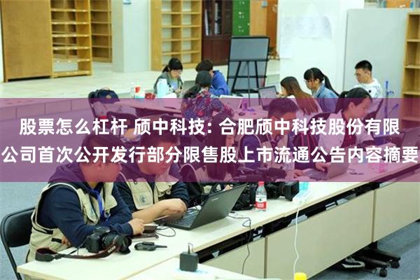 股票怎么杠杆 颀中科技: 合肥颀中科技股份有限公司首次公开发行部分限售股上市流通公告内容摘要