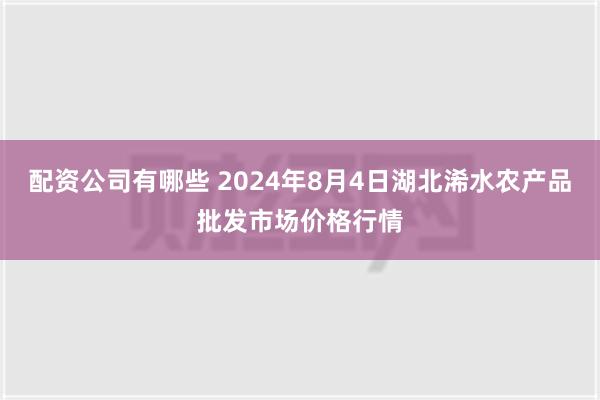 配资公司有哪些 2024年8月4日湖北浠水农产品批发市场价格行情