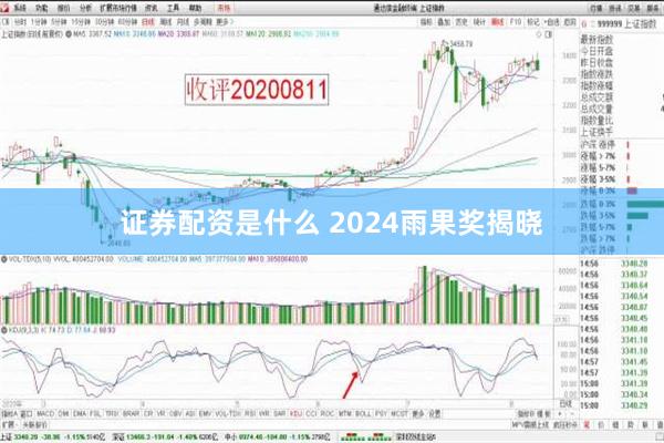 证券配资是什么 2024雨果奖揭晓