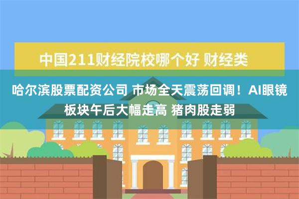 哈尔滨股票配资公司 市场全天震荡回调！AI眼镜板块午后大幅走高 猪肉股走弱