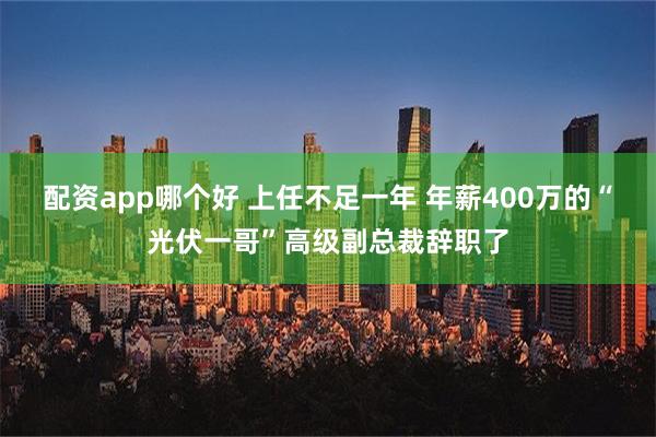 配资app哪个好 上任不足一年 年薪400万的“光伏一哥”高级副总裁辞职了