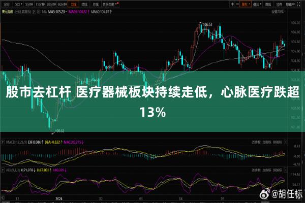 股市去杠杆 医疗器械板块持续走低，心脉医疗跌超13%