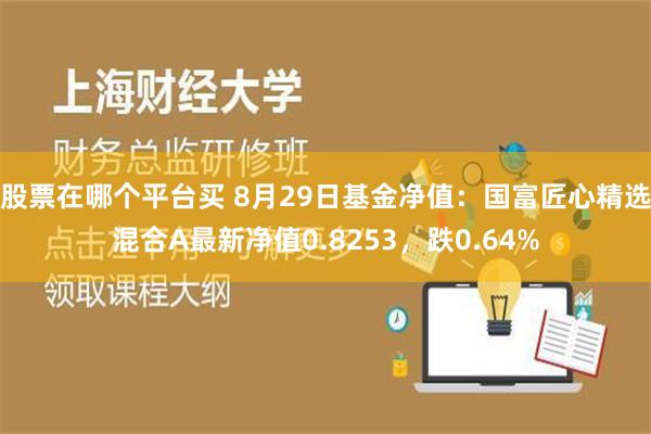 股票在哪个平台买 8月29日基金净值：国富匠心精选混合A最新净值0.8253，跌0.64%