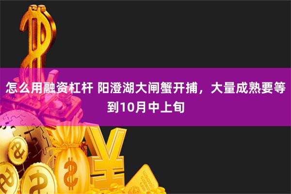 怎么用融资杠杆 阳澄湖大闸蟹开捕，大量成熟要等到10月中上旬