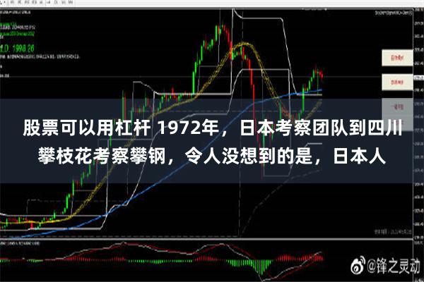 股票可以用杠杆 1972年，日本考察团队到四川攀枝花考察攀钢，令人没想到的是，日本人