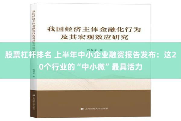 股票杠杆排名 上半年中小企业融资报告发布：这20个行业的“中小微”最具活力