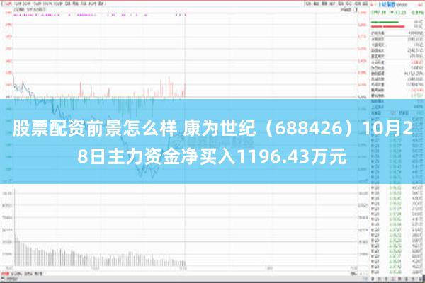 股票配资前景怎么样 康为世纪（688426）10月28日主力资金净买入1196.43万元