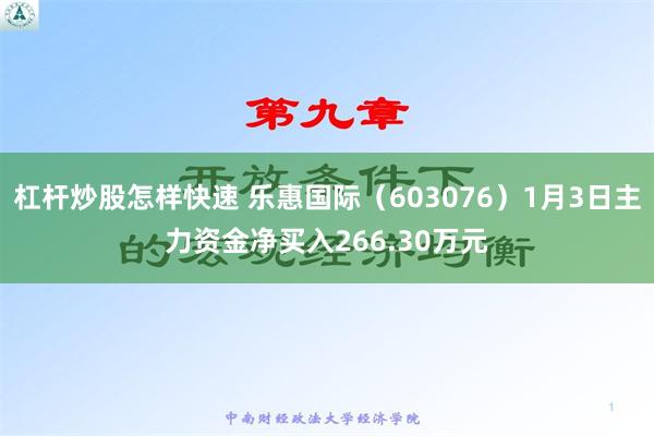 杠杆炒股怎样快速 乐惠国际（603076）1月3日主力资金净买入266.30万元