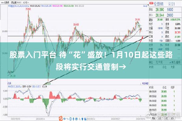 股票入门平台 待“花”盛放！1月10日起这些路段将实行交通管制→