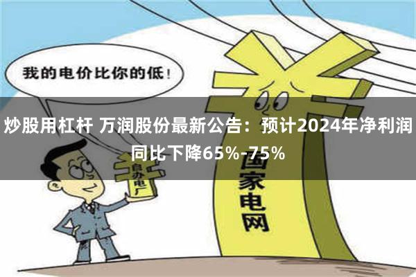 炒股用杠杆 万润股份最新公告：预计2024年净利润同比下降65%-75%