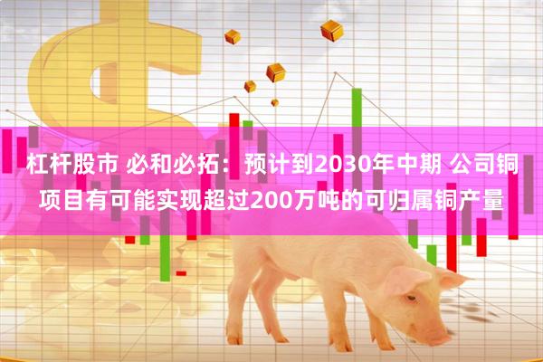 杠杆股市 必和必拓：预计到2030年中期 公司铜项目有可能实现超过200万吨的可归属铜产量